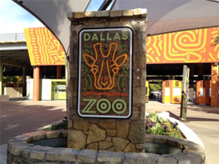 DFW family membership deals, Dallas Zoo