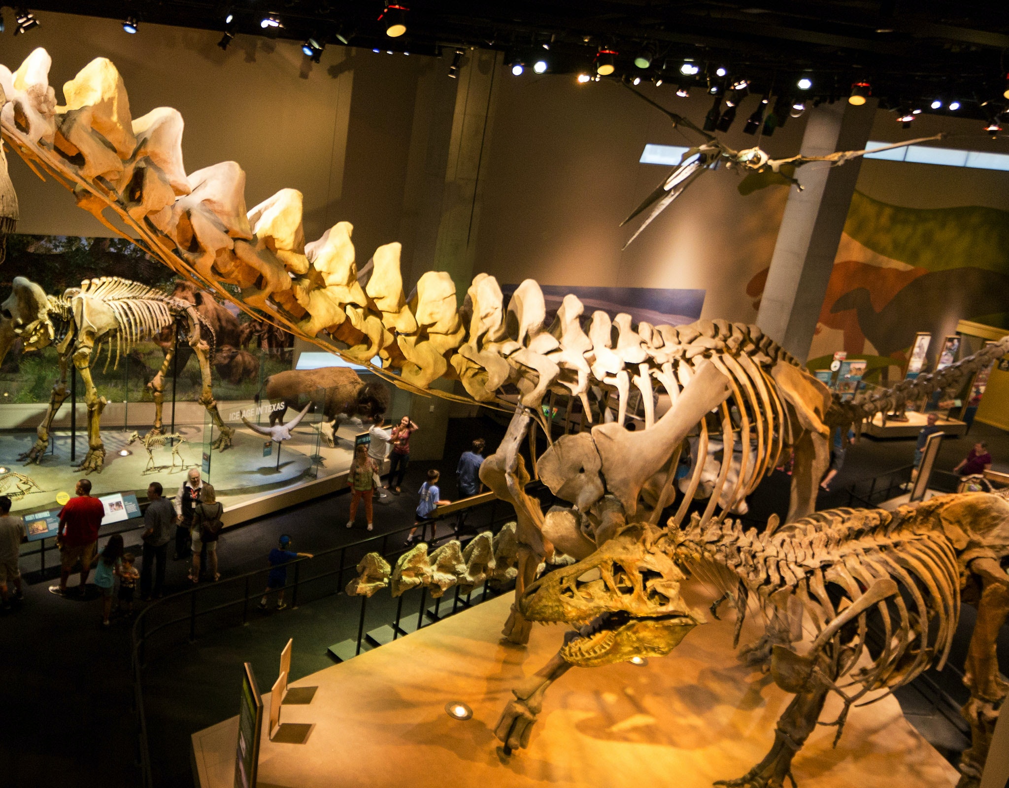 DFW family membership deals, Perot Museum of Nature & Science