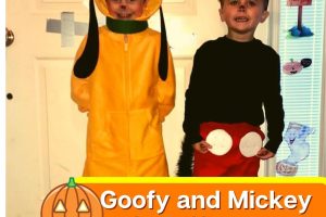 Goofy DIY Disney costume