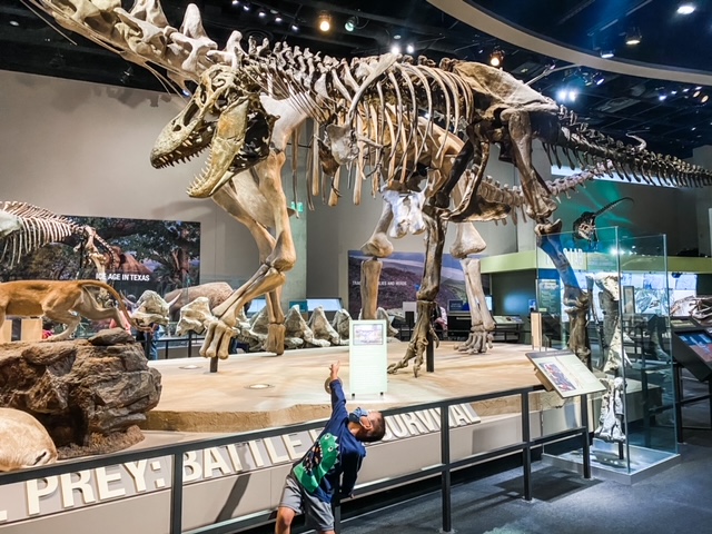 dinosaur skeleton at the perot museum, kid date ideas in dallas