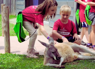 kids on a field trip petting a kangaroo, Lionheart Trailblazers Summer Club