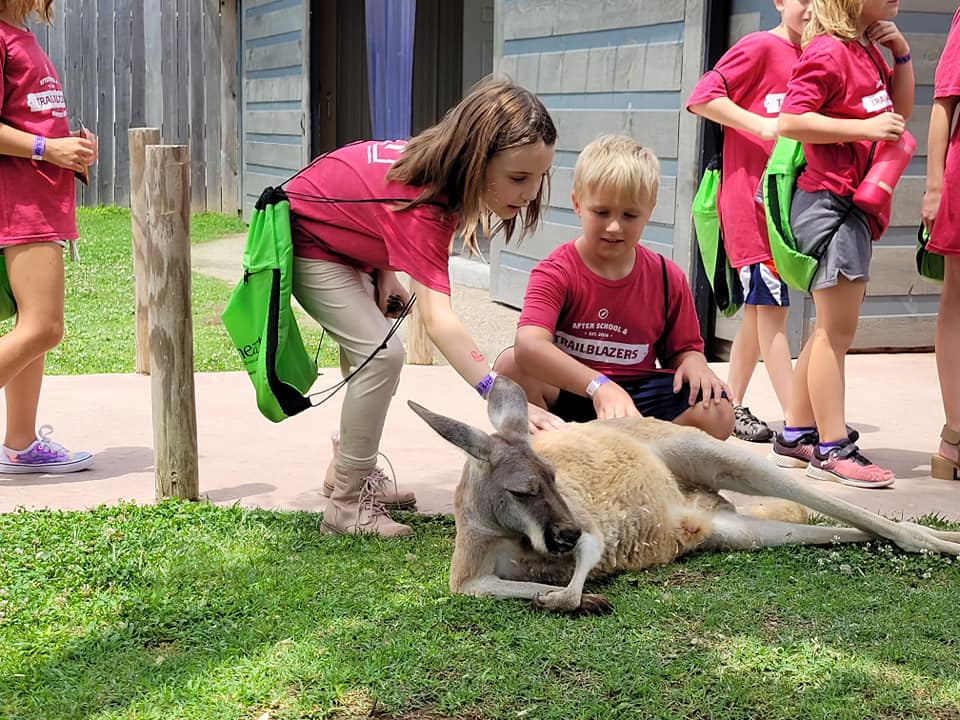 kids petting a kangaroo at Lionheart Trailblazers Summer Club camp