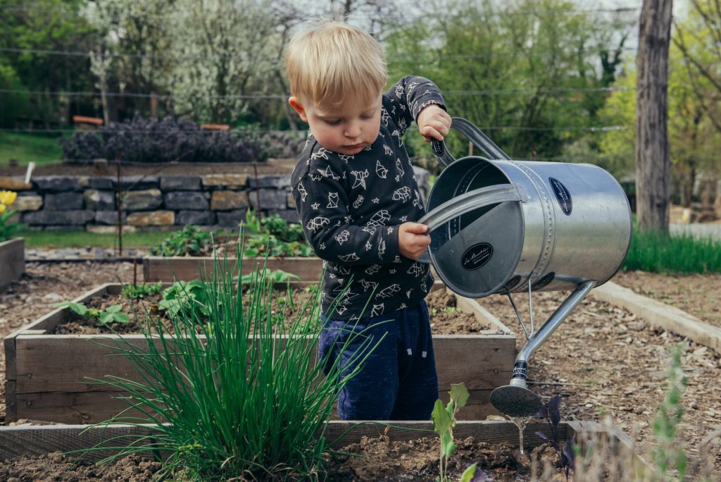 young boy watering raised bed garden, starting a garden in collin county