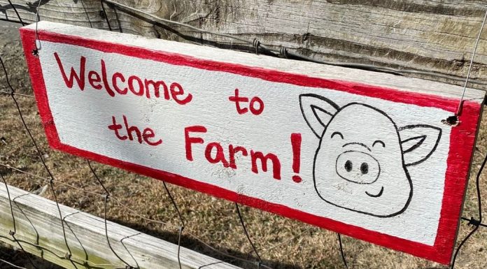 family friendly farms with petting zoos in north texas picture taken at Cathys Critters of the welcome to the farm sign