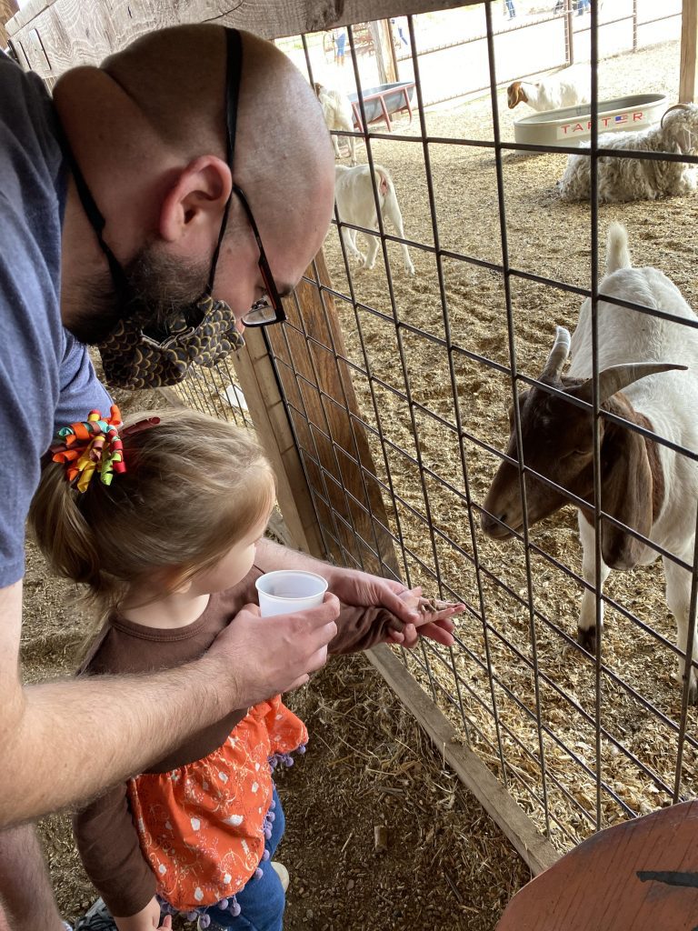 family friendly farms in north texas, petting zoos in collin county, preston trails farm local review 