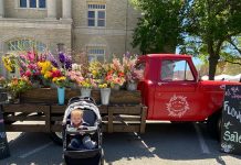 lil' red flower truck downtown McKinney