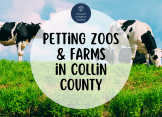 Birthday Party Petting Zoos and Farms in Collin County