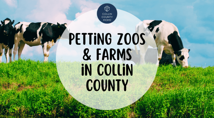 Birthday Party Petting Zoos and Farms in Collin County