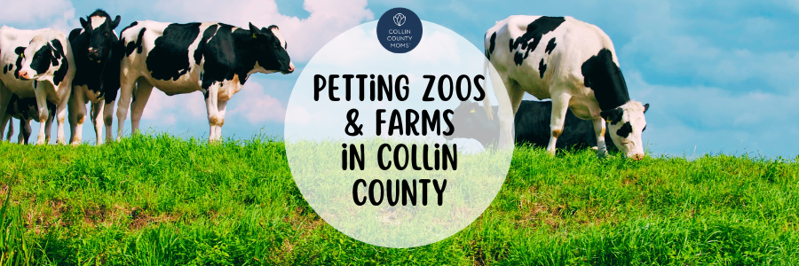 Birthday Petting Zoos for Parties and Farms in Collin County