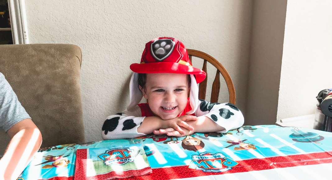 Budget-Friendly Birthday Party Tips paw patrol party