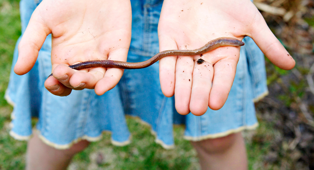 child holding worm from the soil