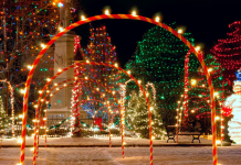 festive Christmas light display in a park