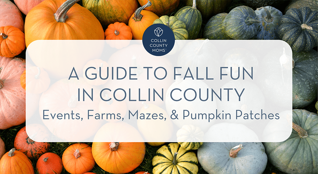 A Guide to Fall Fun in Collin County :: Events, Farms, Mazes, and Pumpkin Patches